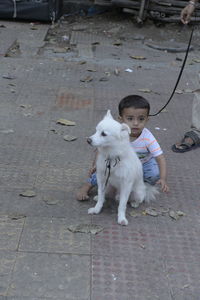 High angle view of dog sitting on footpath with a small boy