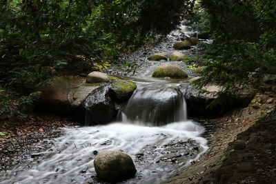 View of waterfall in forest