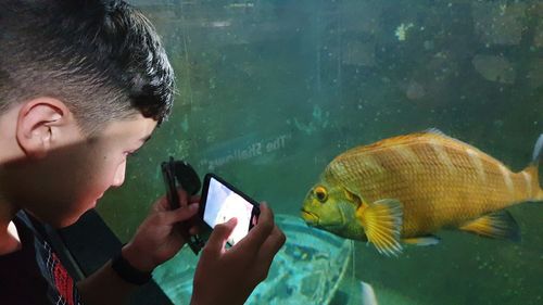 Young woman taking selfie in fish tank