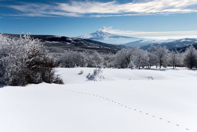 Scenic view of snow covered land against sky