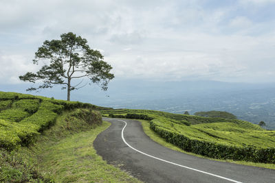 Scenic view of road amidst trees against sky