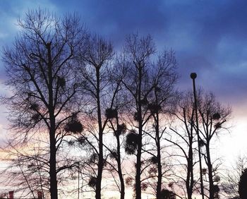 Low angle view of bare trees against sky