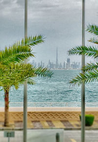 Palm trees on beach against sky