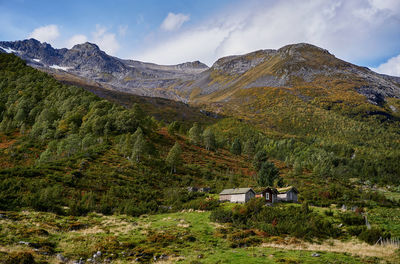 Bjørke, volda, møre og romsdal, norway.