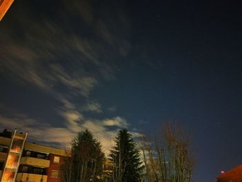 Low angle view of trees against sky at night