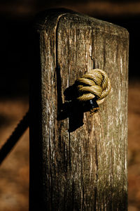 Close-up of wooden plank