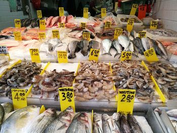 View of fish for sale at market stall