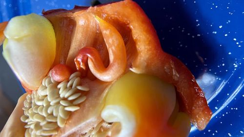 Close-up of fresh vegetables