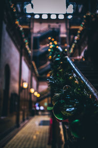 Close-up of illuminated christmas tree at night