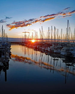 Sailboats in marina at sunset