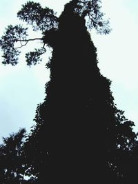 Low angle view of trees against sky