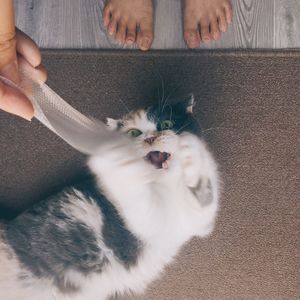 Close-up of woman with dog at home