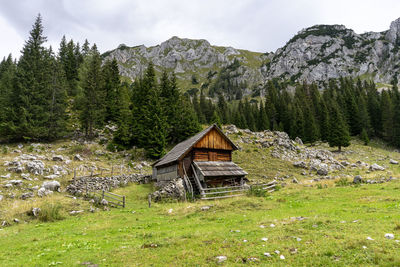 Shepherd's huts are used every summer when shepherds and cattle stay in the bohinj pasture plateaus.