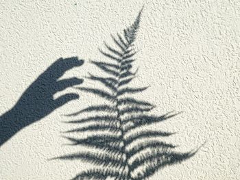 High angle view of shadow on sand