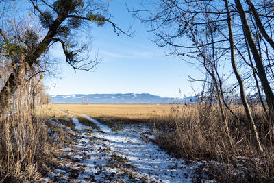 Scenic view of landscape against sky during winter