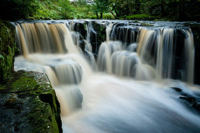 Scenic view of waterfall in forest