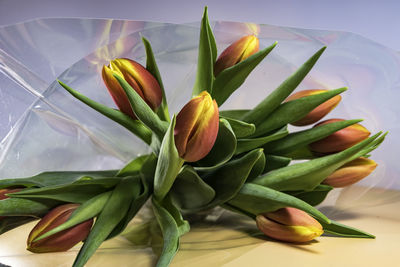 Close-up of fresh flowers in plate