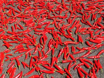 Full frame shot of red chili peppers