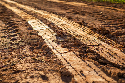 High angle view of mud on dirt road