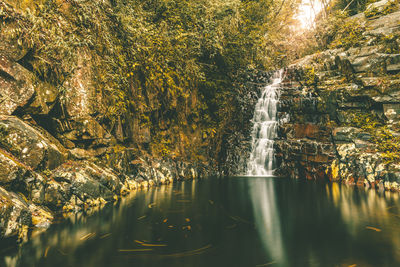 Scenic view of waterfall in forest