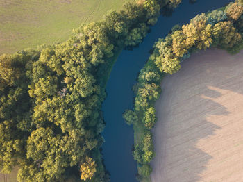 High angle view of trees on land