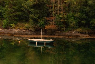 Boat moored in lake against trees in forest