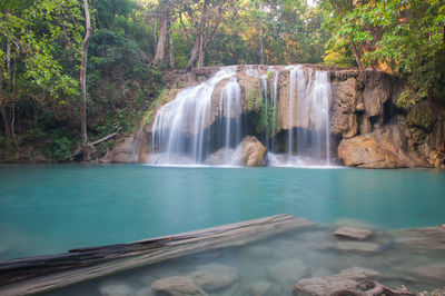 Scenic view of waterfall in forest