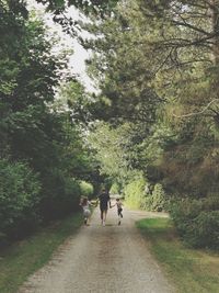 Rear view of man walking on footpath amidst trees