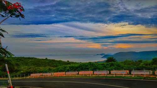 Road by trees against sky during sunset