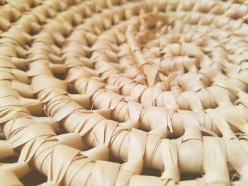 Close-up view of flower