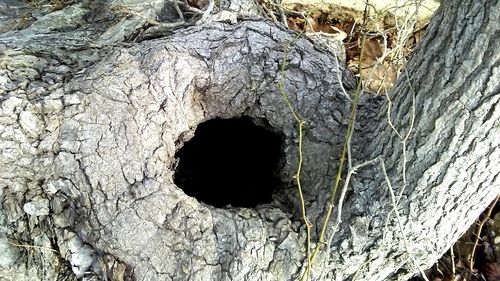 Close-up of hole