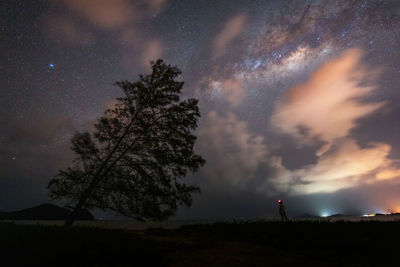 Low angle view of trees against sky at night