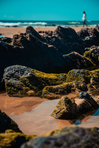 Rocks on a beach 