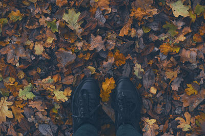 Low section of man standing on field