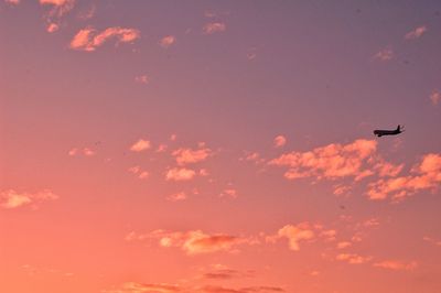 Low angle view of silhouette airplane flying in sky during sunset