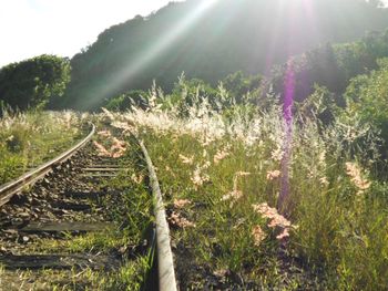 Railroad track on sunny day