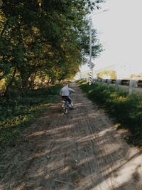 Rear view of man riding bicycle on road