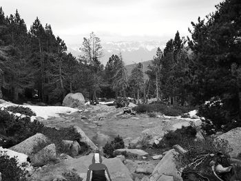 Scenic view of trees and mountains against sky