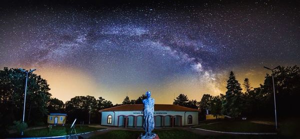 View of trees at night