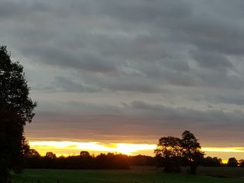 Silhouette trees on field against sky during sunset