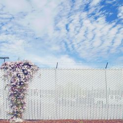 Low angle view of barbed wire fence