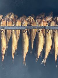 Close-up of fish for sale