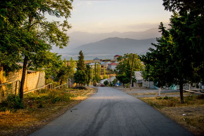 Road amidst trees in city against sky