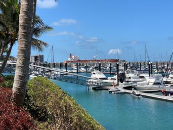 Sailboats moored on harbor in city against sky