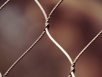 Close-up of rope on fence