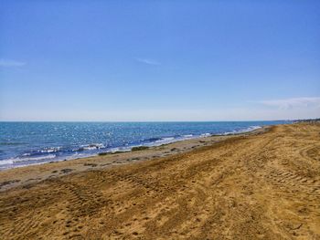 Scenic view of beach against blue sky