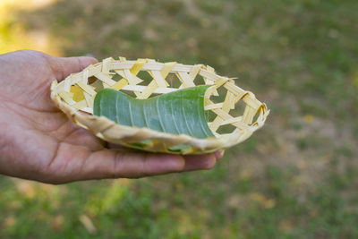 Close-up of hand holding leaf