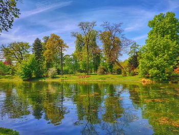 Reflection of trees in lake against sky