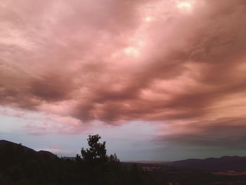 Silhouette of trees against dramatic sky