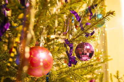 Close-up of christmas decorations hanging on tree